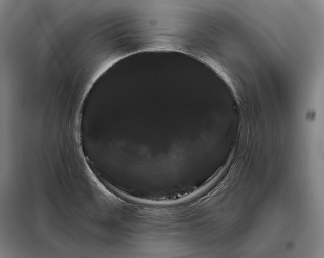 X0000098131468200805011310