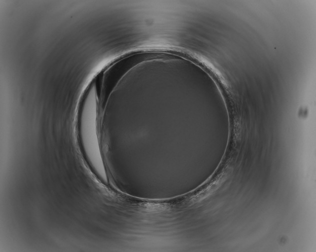 X0000098131469200805011310
