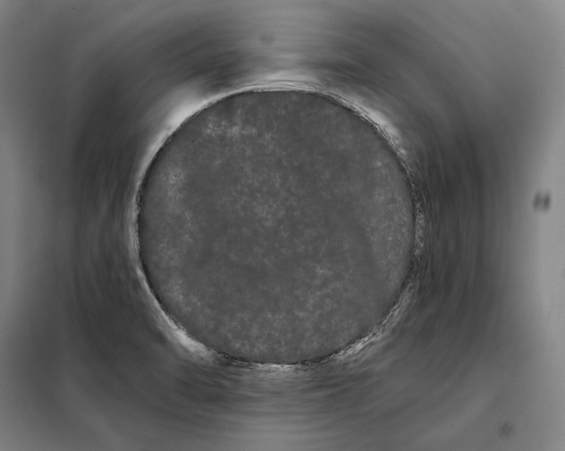 X0000098131470200805011310