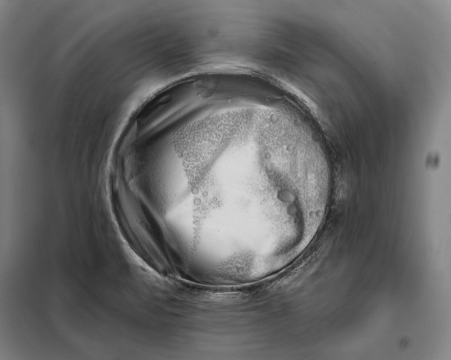 X0000098131471200805011310