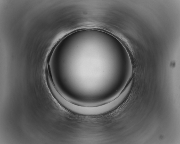 X0000098131472200805011310