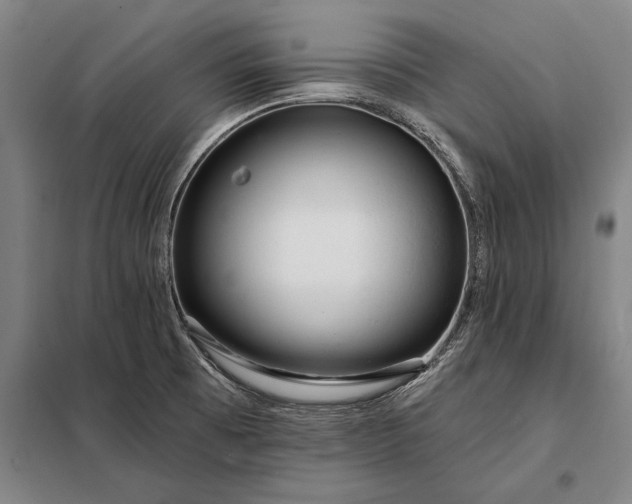 X0000098131473200805011310