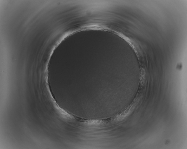 X0000098131474200805011310
