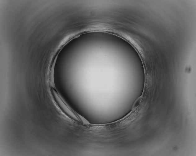 X0000098131477200805011310