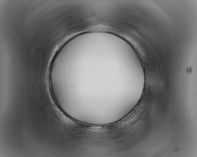 X0000098131478200805011310