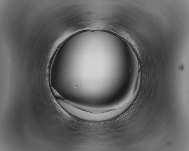 X0000098131480200805011310