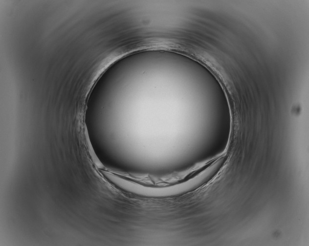 X0000098131481200805011310