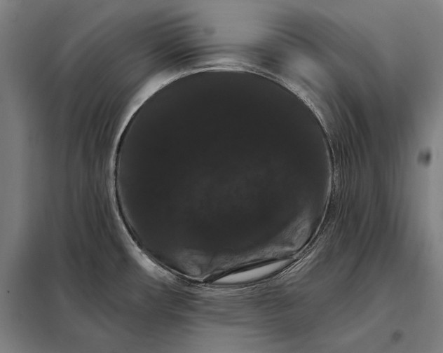 X0000098131482200805011310
