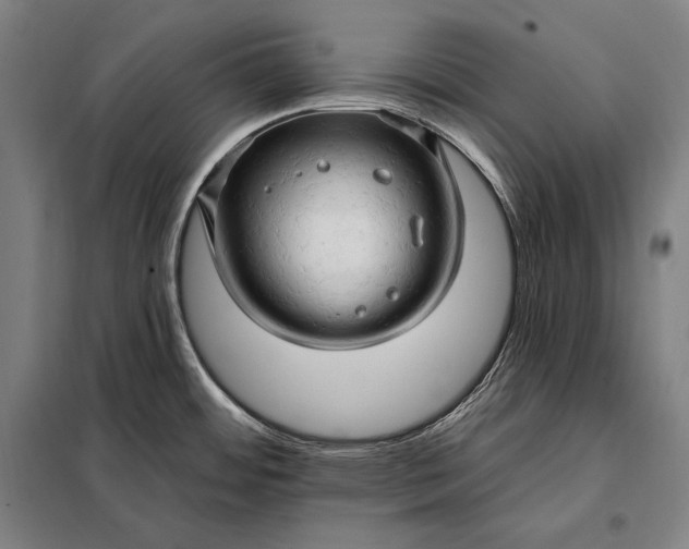 X0000098131484200805011310