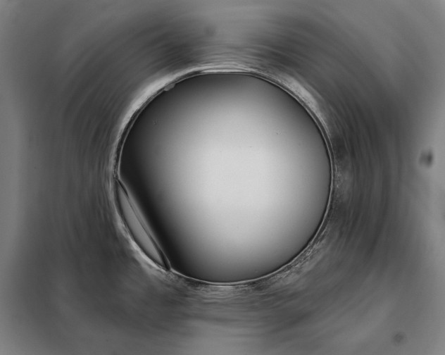 X0000098131485200805011310