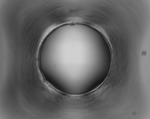 X0000098131488200805011310