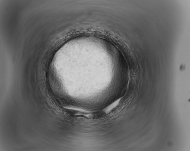 X0000098131489200805011309