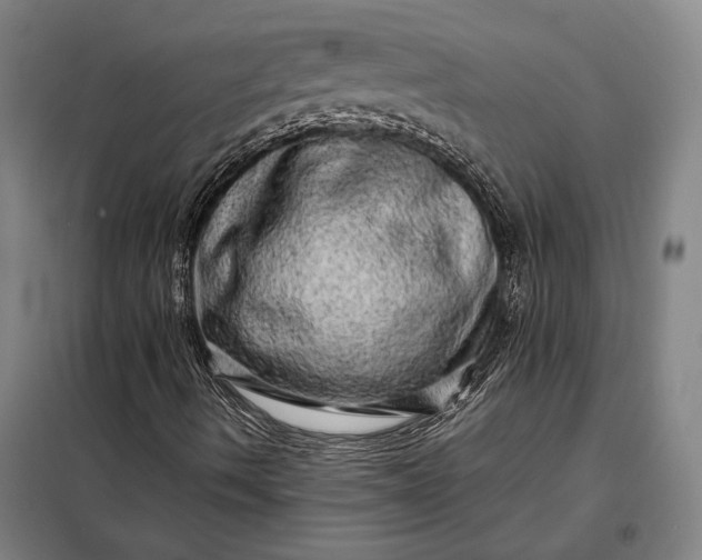 X0000098131490200805011309