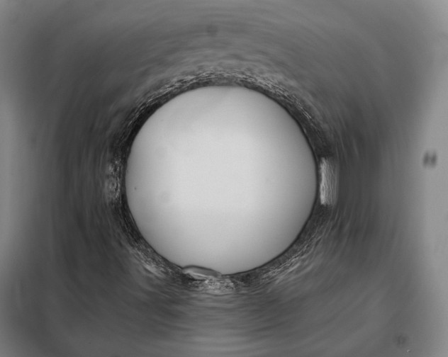 X0000098131491200805011309