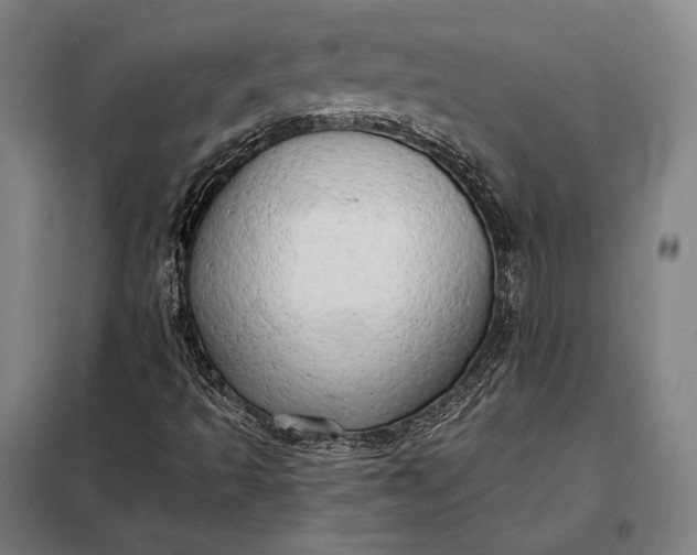 X0000098131493200805011309
