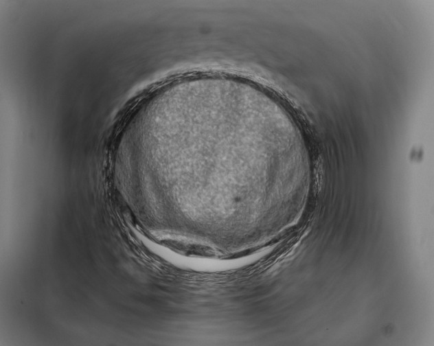 X0000098131494200805011309