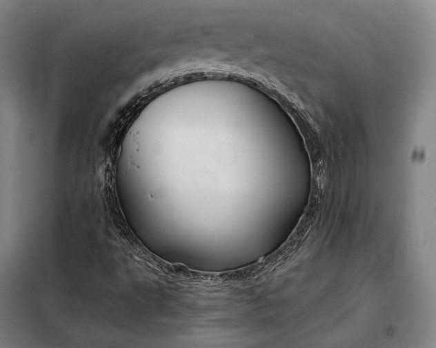 X0000098131495200805011309