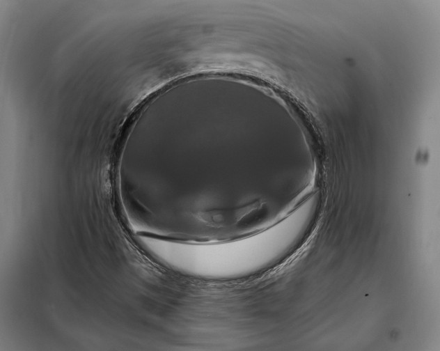 X0000098131497200805011309