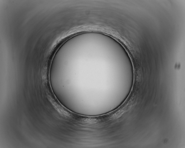X0000098131499200805011309