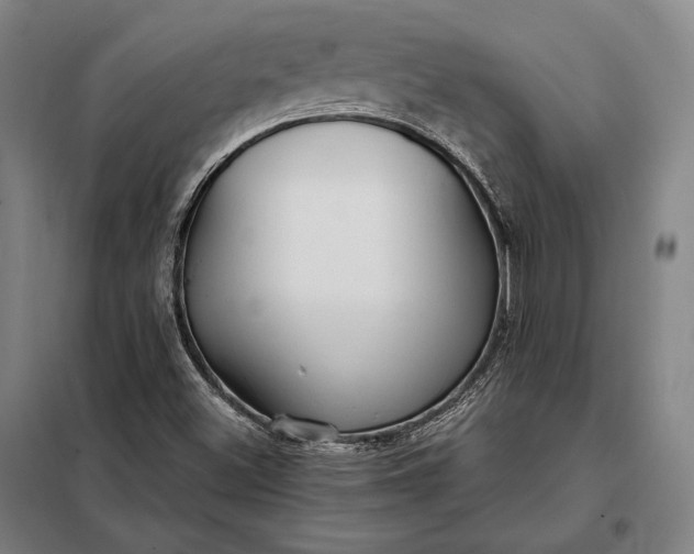 X0000098131500200805011309