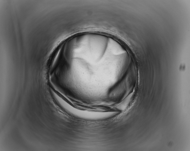 X0000098131501200805011309