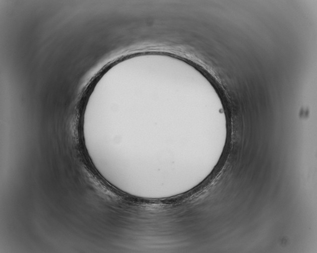 X0000098131502200805011309