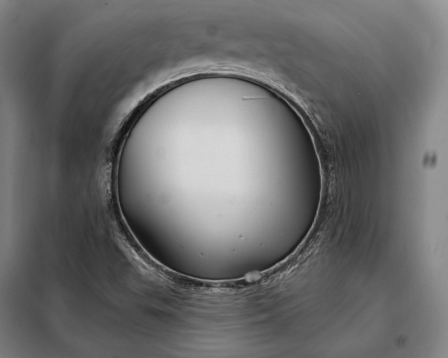 X0000098131503200805011309