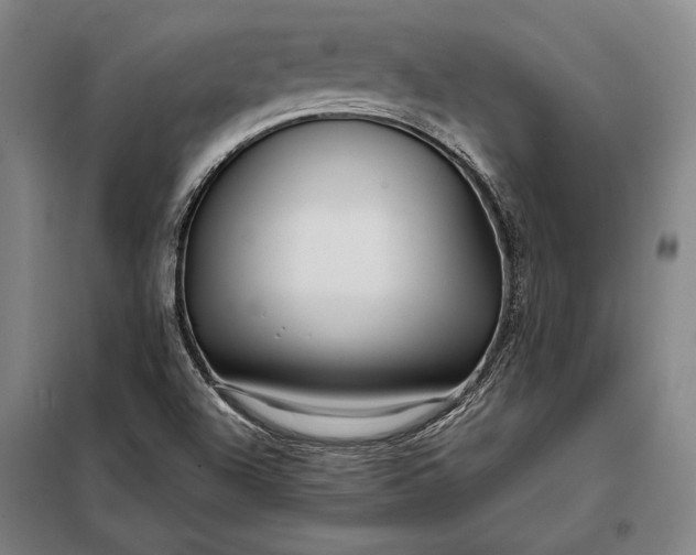 X0000098131504200805011309
