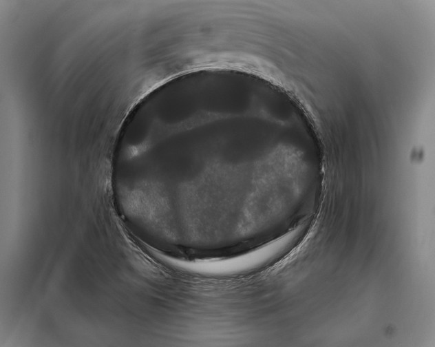 X0000098131505200805011309