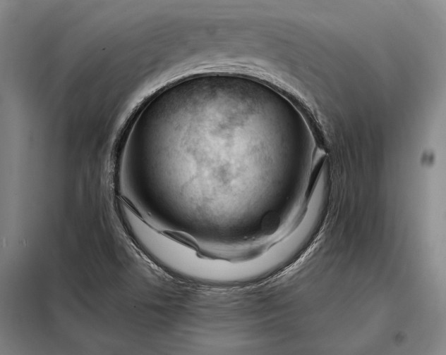 X0000098131506200805011309