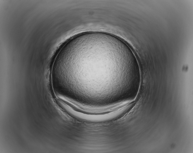 X0000098131507200805011309
