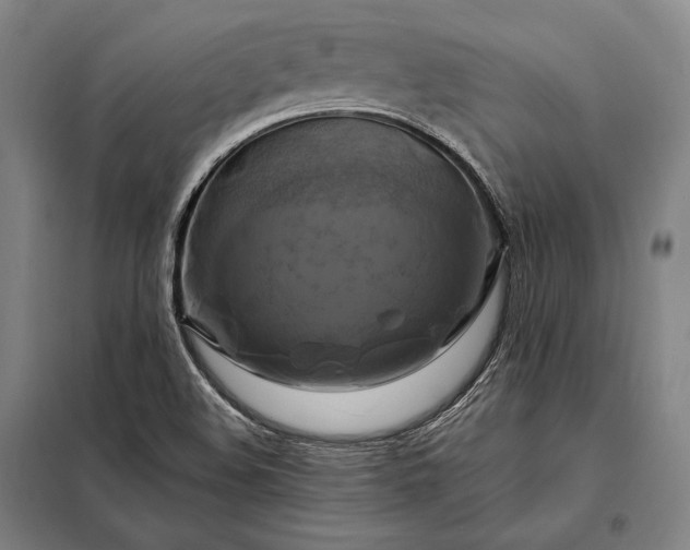 X0000098131508200805011309