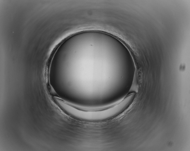 X0000098131510200805011309