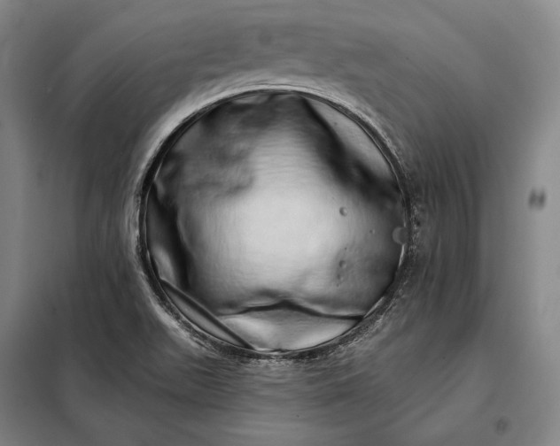 X0000098131511200805011309
