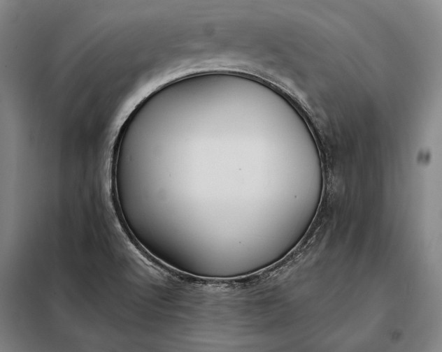 X0000098131512200805011309