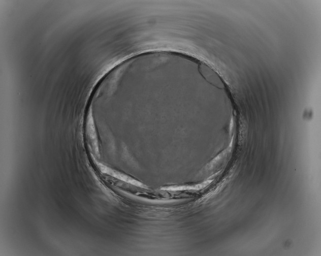 X0000098131513200805011309