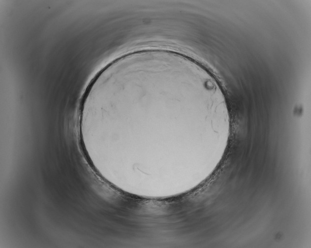 X0000098131514200805011309