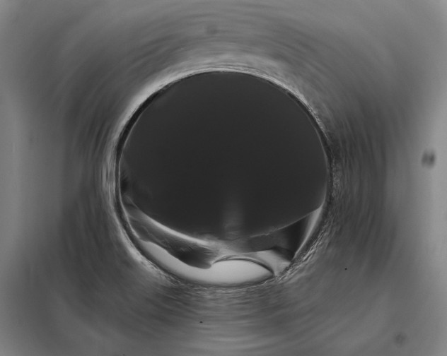 X0000098131515200805011309