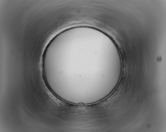 X0000098131516200805011309