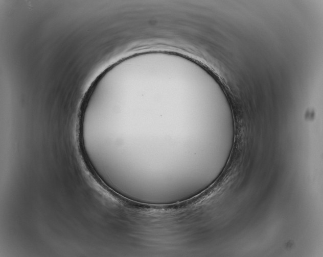 X0000098131518200805011309
