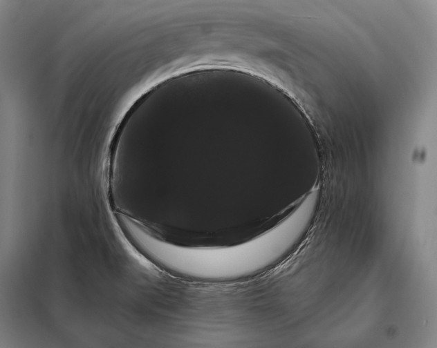 X0000098131519200805011309
