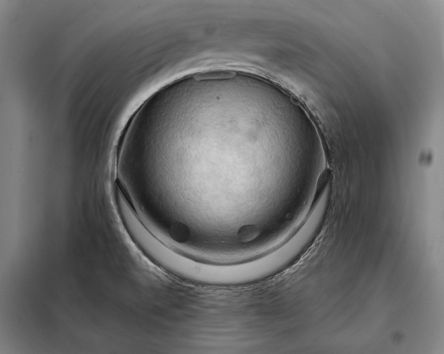 X0000098131520200805011309