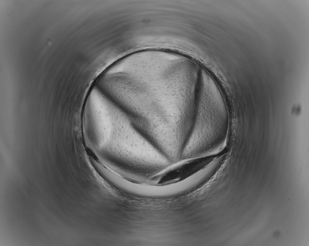 X0000098131521200805011309