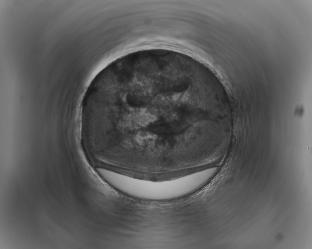 X0000098131522200805011309