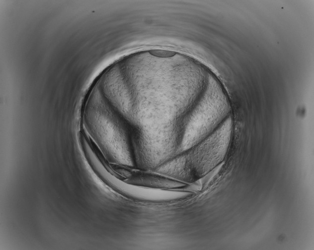 X0000098131523200805011309