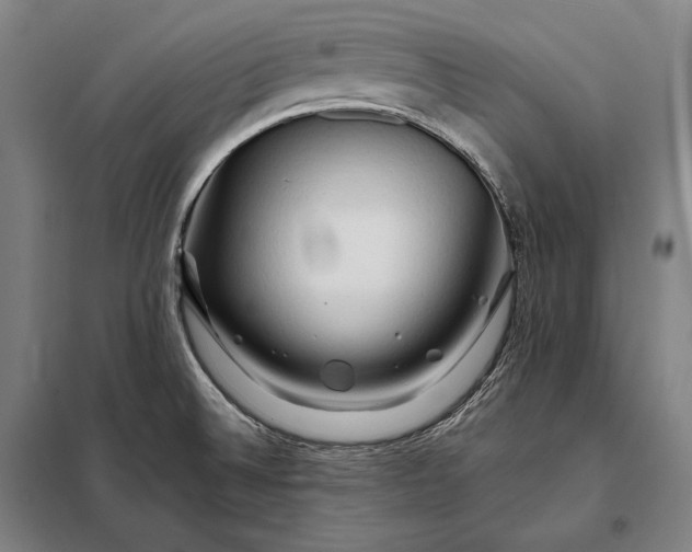 X0000098131524200805011309