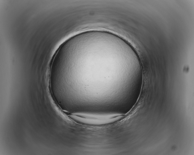 X0000098131526200805011309