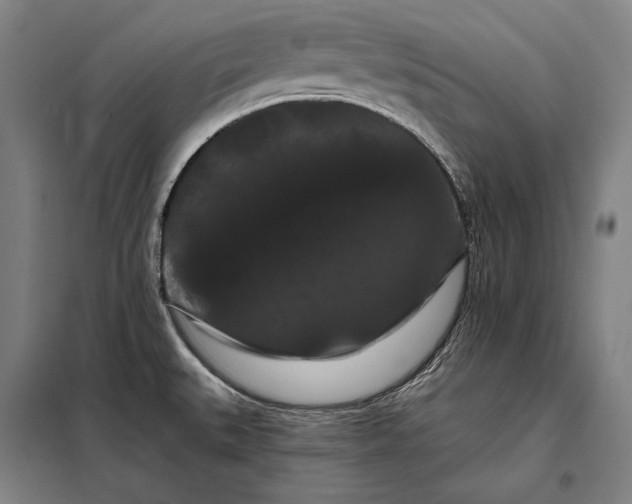 X0000098131527200805011310