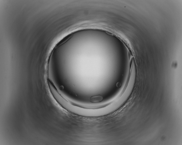 X0000098131528200805011310