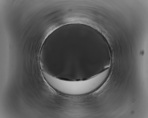 X0000098131529200805011310